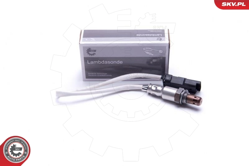Oxygen Sensor